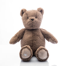 Load image into Gallery viewer, Heartbeat Bears